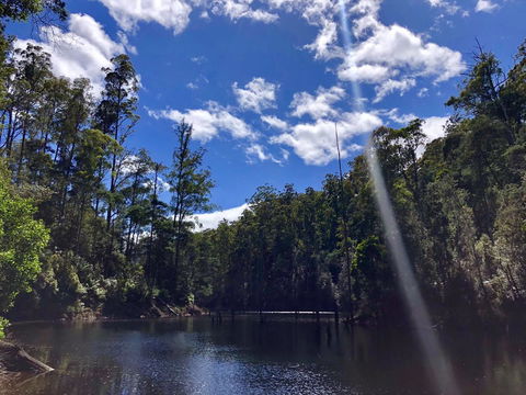Lemonthyme Wilderness Retreat - Australian Directory 7