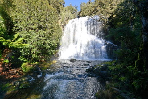 Lemonthyme Wilderness Retreat - Australian Directory 19