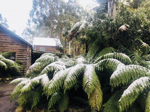 Lemonthyme Wilderness Retreat - Australian Directory 5