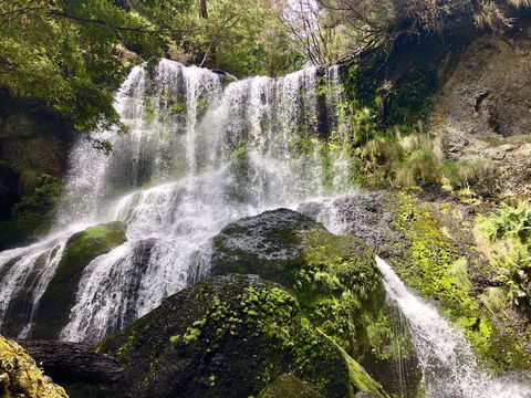 Lemonthyme Wilderness Retreat - Australian Directory 14