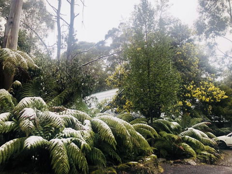 Lemonthyme Wilderness Retreat - Australian Directory 16