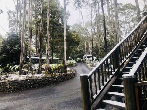 Lemonthyme Wilderness Retreat - Australian Directory 15