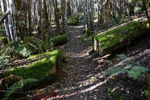 Lemonthyme Wilderness Retreat - Australian Directory 22