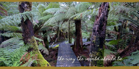Lemonthyme Wilderness Retreat - Australian Directory 17
