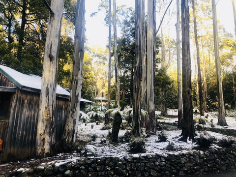 Lemonthyme Wilderness Retreat - Australian Directory 6