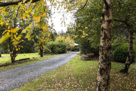 Cradle Forest Inn - Australian Directory 36