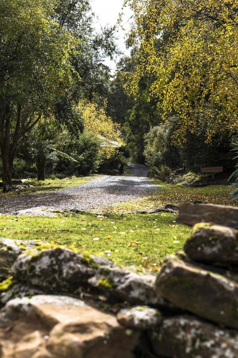 Cradle Forest Inn - Australian Directory 34