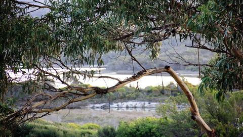 Kingfisher Cottage - Australian Directory 17