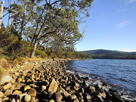 NRMA Port Arthur Holiday Park - Australian Directory 0