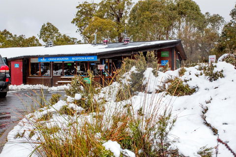 Discovery Parks â€“ Cradle Mountain - Australian Directory 29