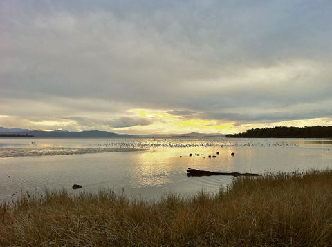 Cloudy Bay Beach House - Australian Directory 11