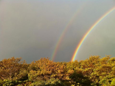 Cloudy Bay Beach House - Australian Directory 44