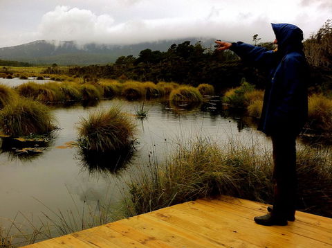 Cloudy Bay Beach House - Australian Directory 35