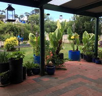 Blue Wren Bungalow - Australian Directory