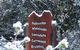 Cradle Mountain Highlanders - thumb 7