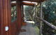 Cradle Mountain Highlanders - thumb 39