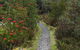 Cradle Mountain Highlanders - thumb 6