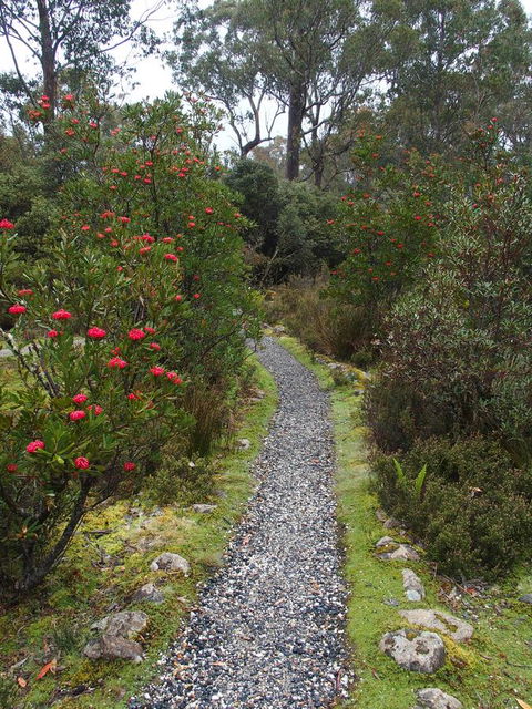 Cradle Mountain Highlanders - Australian Directory 6
