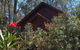 Cradle Mountain Highlanders - thumb 0
