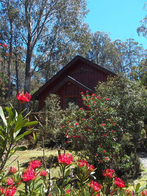 Cradle Mountain Highlanders - Australian Directory 0