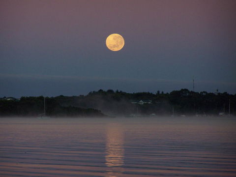 Regatta Point Tavern & Holiday Villas - Australian Directory 39