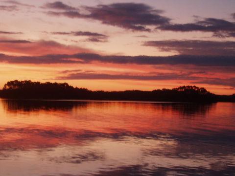Regatta Point Tavern & Holiday Villas - Australian Directory 27