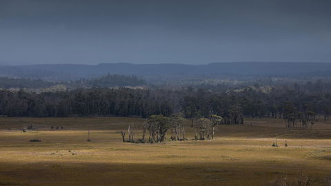 Arthur Riverfront And Sea Lodge Downstream - Australian Directory 42