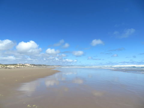 Arthur Riverfront And Sea Lodge Downstream - Australian Directory 24