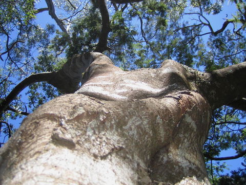 Arthur Riverfront And Sea Lodge Downstream - Australian Directory 32