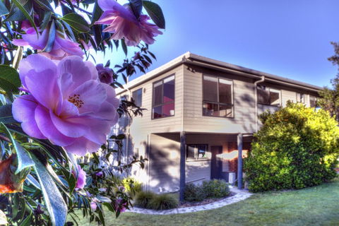 Cove Beach Apartment 2 - Australian Directory 9