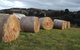 Eden Orchard & Farmstay - thumb 35