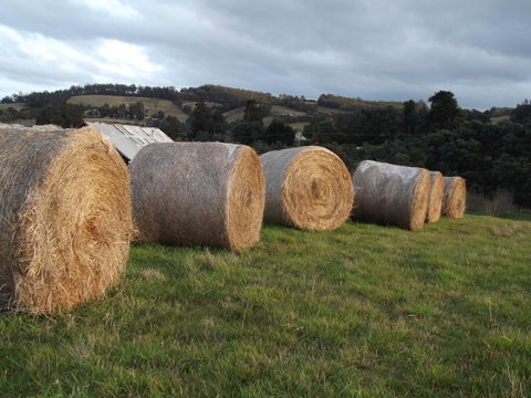 Eden Orchard & Farmstay - Australian Directory 35