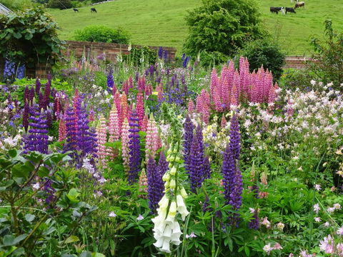 Old WesleyDale Heritage Accommodation - Australian Directory 1