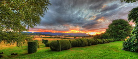 Old WesleyDale Heritage Accommodation - Australian Directory 13