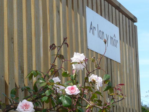Ar Lan Y Mor - Australian Directory 12
