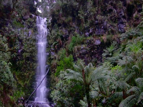 Great Ocean Road Resort - Australian Directory 16