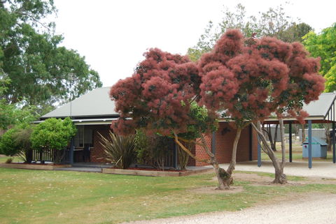Greenvale Holiday Units - Australian Directory 9