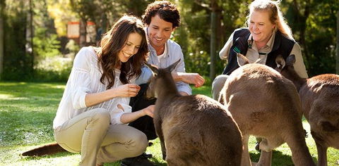 Balgownie Estate Vineyard Resort & Spa - Australian Directory 10