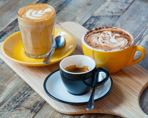 Ibis Melbourne Swanston Street Hotel - Australian Directory 42