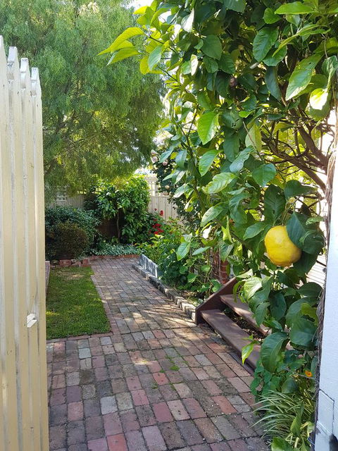 Healesville House - Fig Tree House - Australian Directory 17