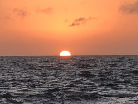 Beautiful, Cosy And Quiet - Australian Directory 27