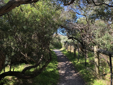 Beautiful, Cosy And Quiet - Australian Directory 20