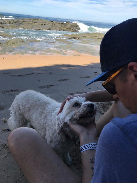 Beautiful, Cosy And Quiet - Australian Directory 34