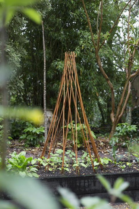 Botanica Editions - Australian Directory 23