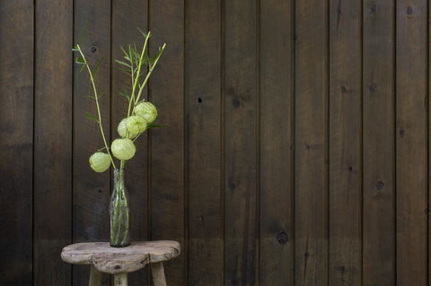 Botanica Editions - Australian Directory 10