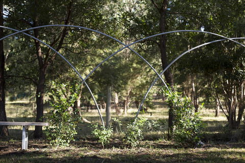 Botanica Editions - Australian Directory 42