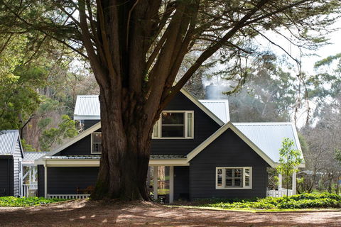 The Orchard - Australian Directory 0