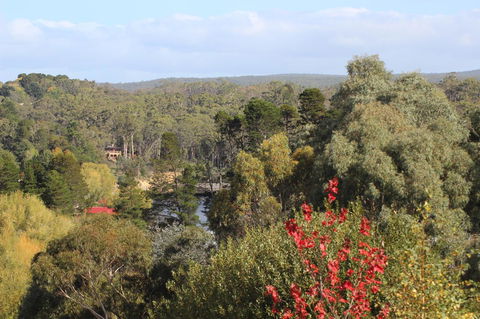 The Orchard - Australian Directory 28