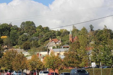 The Orchard - Australian Directory 31