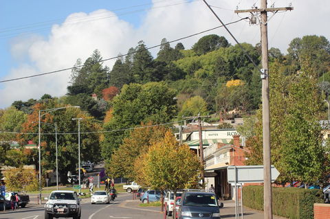 The Orchard - Australian Directory 35